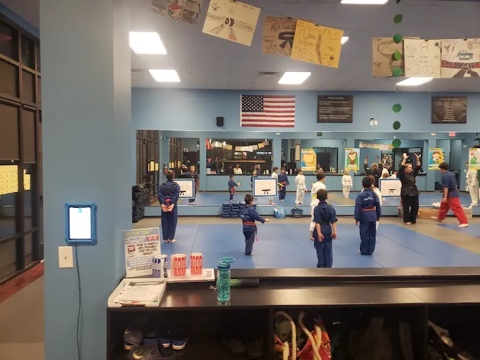 Ripple Effect Martial Arts Picture 5