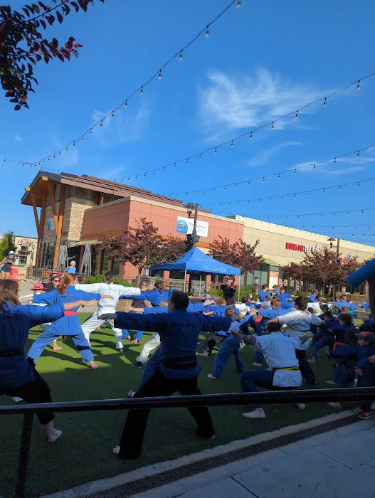 Ripple Effect Martial Arts Picture 9