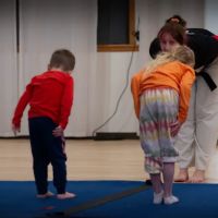 Rising Tide Martial Arts ico