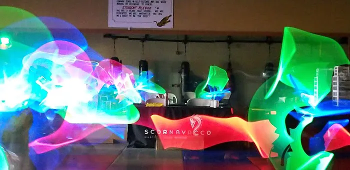 Scornavacco Martial Arts Academy Picture 4