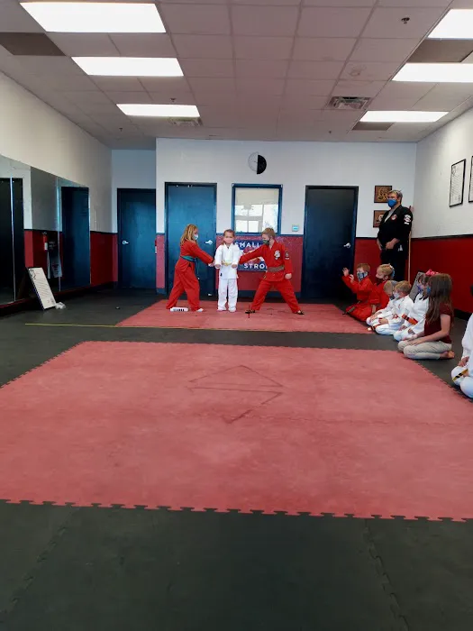 Peak to Peak Martial Arts Picture 5