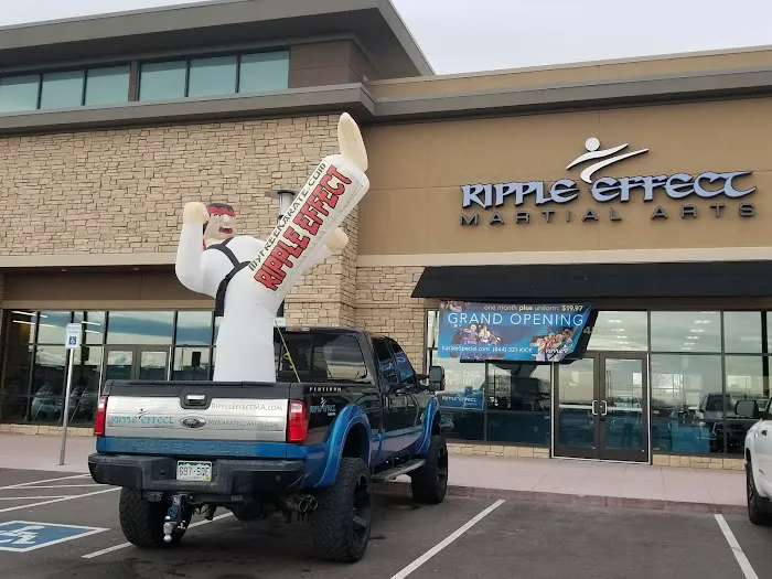 Ripple Effect Martial Arts Picture 2