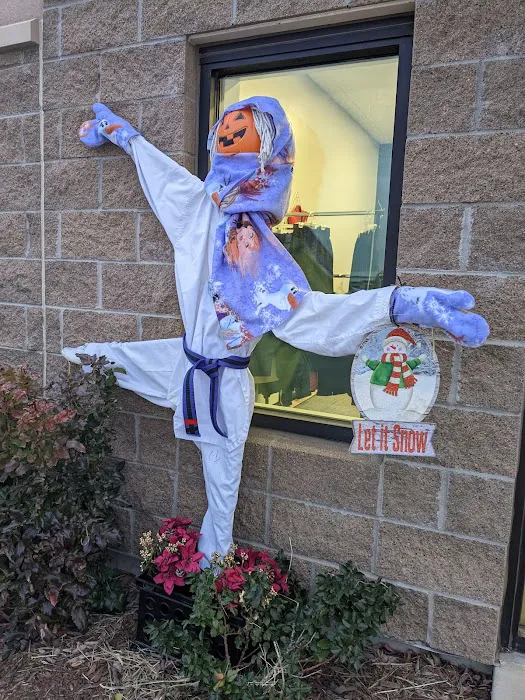 Axon Martial Arts Academy Picture 1