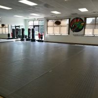 GaleForce Martial Arts ico