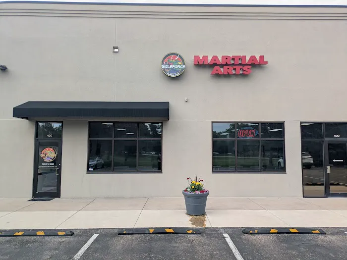 GaleForce Martial Arts Picture 8