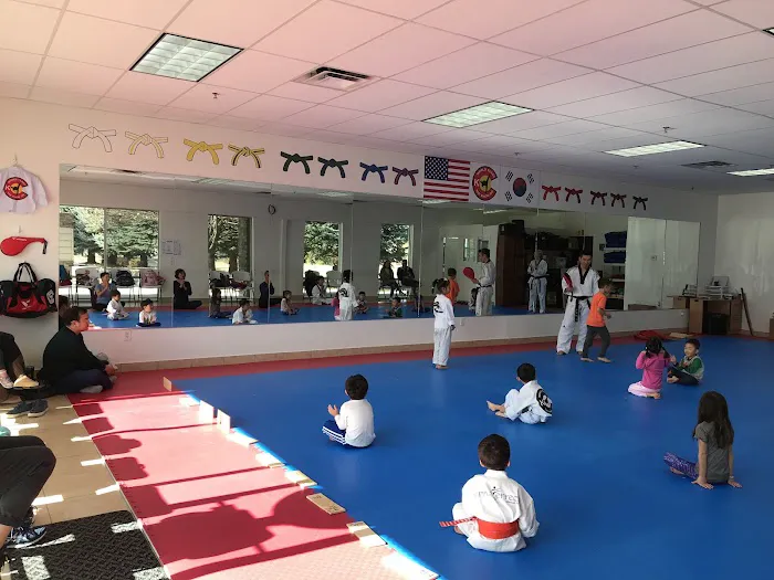 US Taekwondo College Picture 3