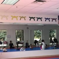 US Taekwondo College ico