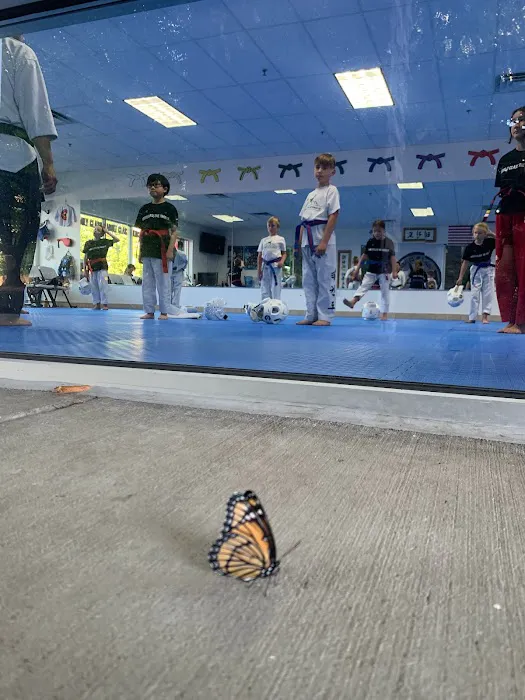 K World Class Tae Kwon Do Picture 2