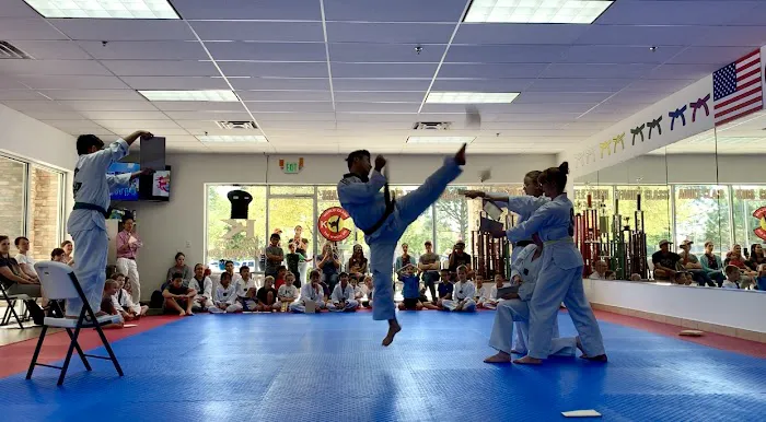 K World Class Tae Kwon Do Picture 6
