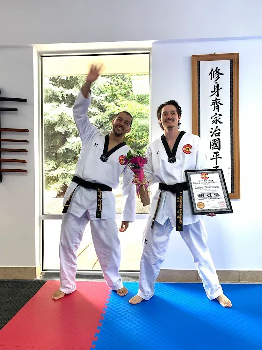 K World Class Tae Kwon Do Picture 3