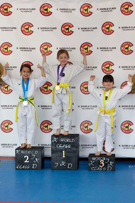 K World Class Tae Kwon Do Picture 8