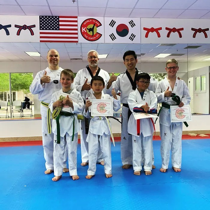K World Class Tae Kwon Do Picture 7