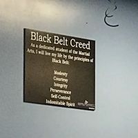 Ripple Effect Martial Arts ico