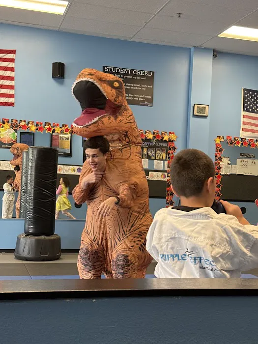 Ripple Effect Martial Arts Picture 5