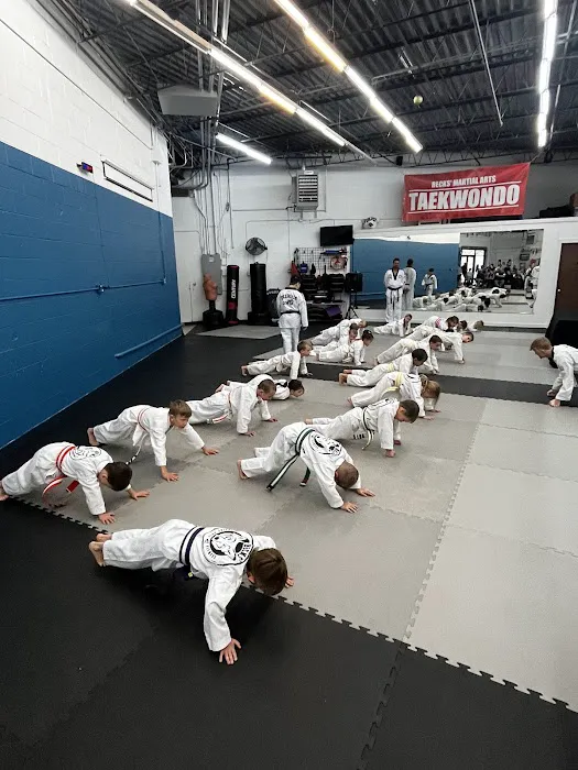 Becks' Martial Arts Picture 1