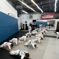 Becks' Martial Arts ico