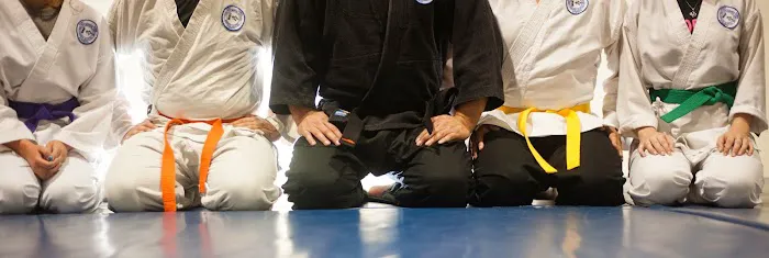 Total Ryu Martial Arts Picture 1