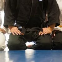 Total Ryu Martial Arts ico