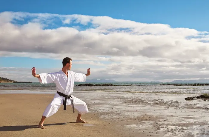 Total Ryu Martial Arts Picture 8