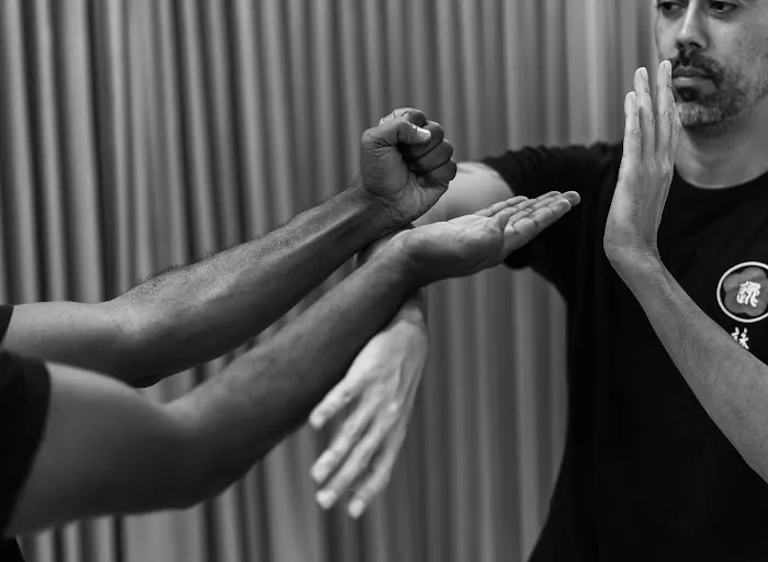 Advanced Wing Chun Academy Picture 2