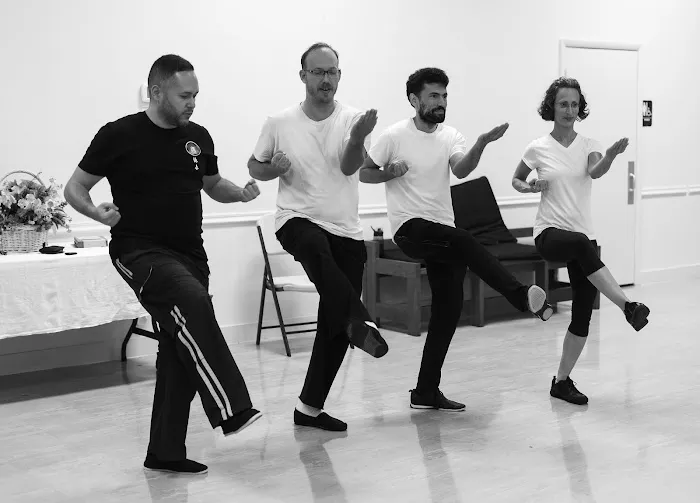 Advanced Wing Chun Academy Picture 7