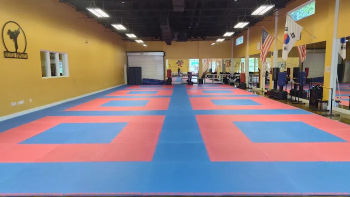 Better Families Through Tae Kwon Do Picture 8