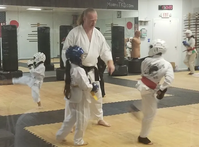 South Miami Taekwondo Picture 4