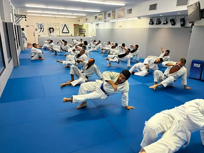 Valente Brothers Jiu-Jitsu Coral Gables Picture 3