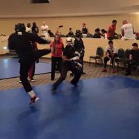 White Tiger & Dragon Martial Arts ico