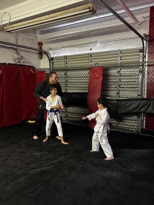 White Tiger & Dragon Martial Arts Picture 4