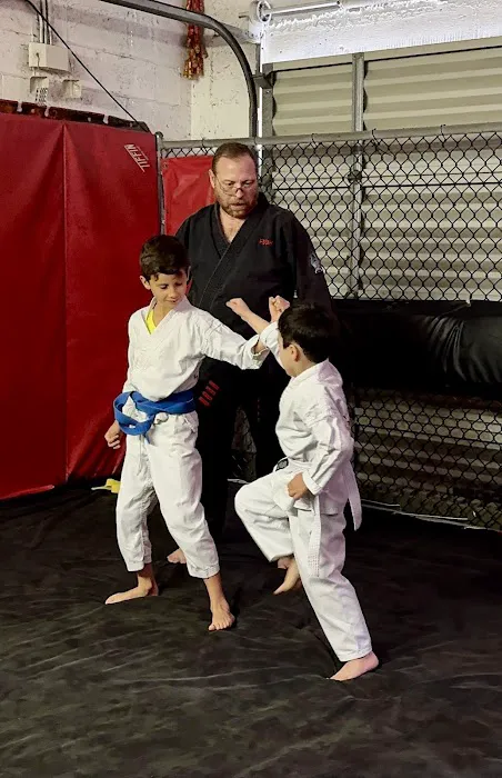 White Tiger & Dragon Martial Arts Picture 3