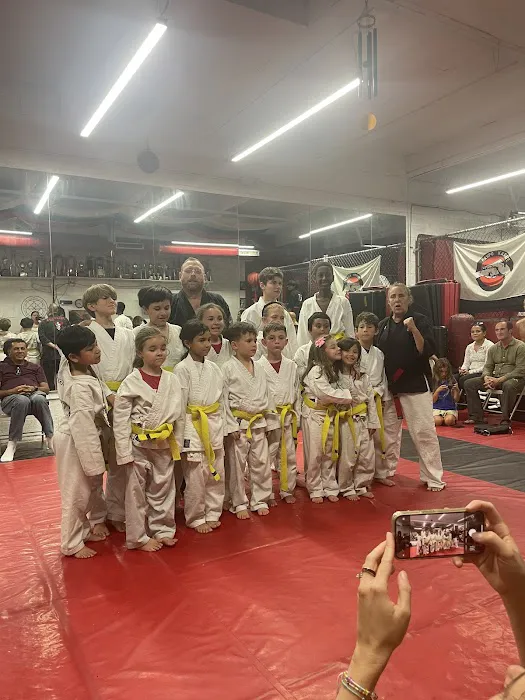 White Tiger & Dragon Martial Arts Picture 7