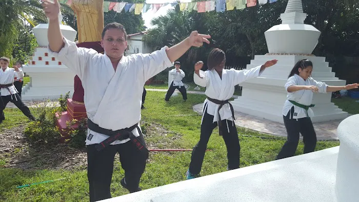 White Tiger & Dragon Martial Arts Picture 9