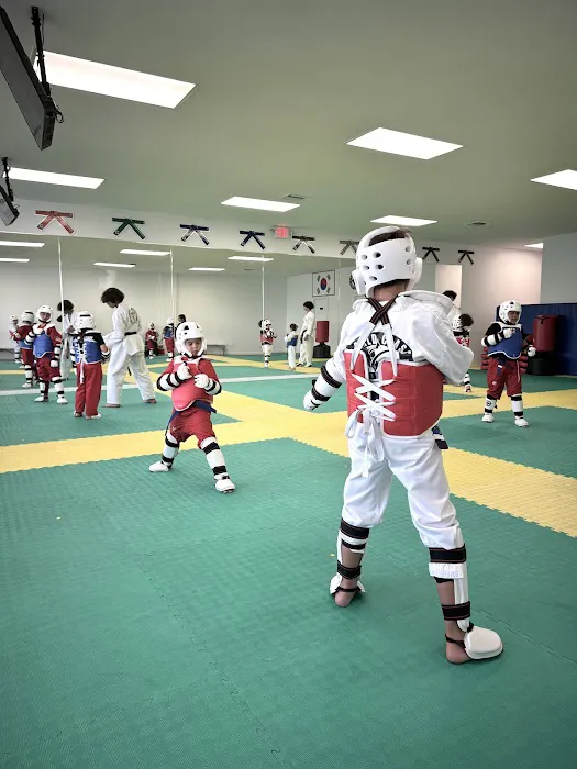 World Class Martial Arts Taekwondo Picture 1