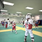 World Class Martial Arts Taekwondo