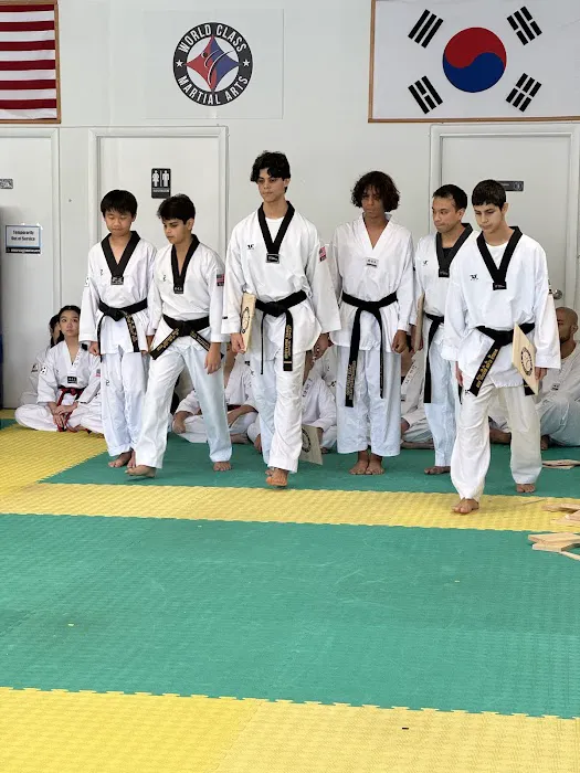 World Class Martial Arts Taekwondo Picture 3