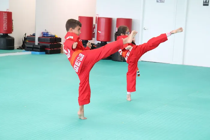 World Class Martial Arts Taekwondo Picture 9