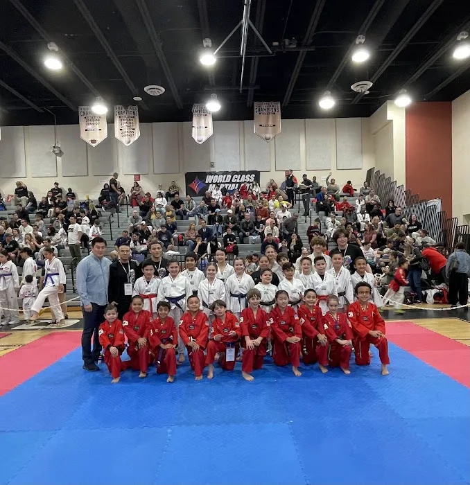 World Class Martial Arts Taekwondo Picture 10