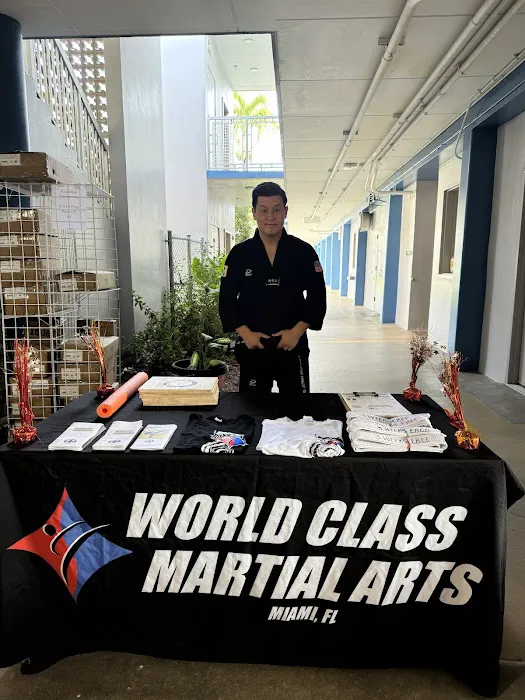 World Class Martial Arts Taekwondo Picture 6