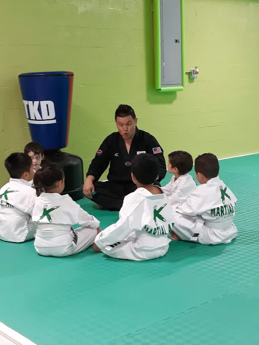 World Class Martial Arts Taekwondo Picture 8