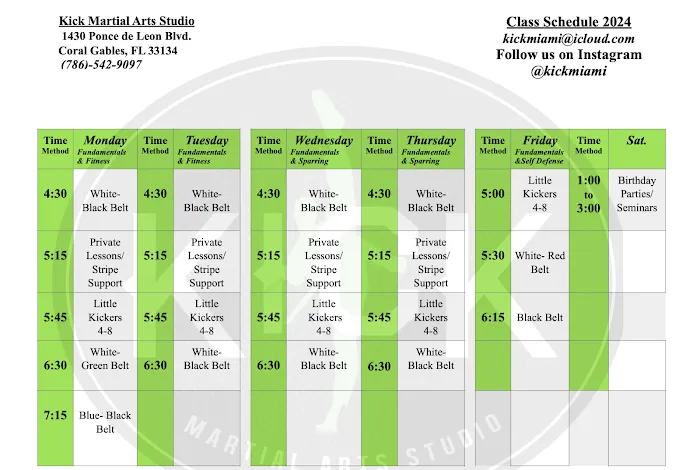 Kick Martial Arts Studio Picture 3