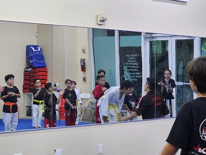 KTMA Taekwondo Martial Arts Picture 8