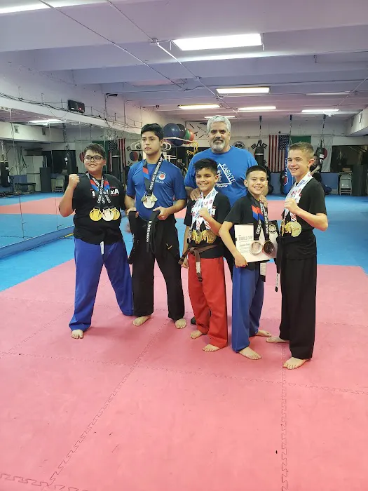 Family Martial Arts Academy Picture 5