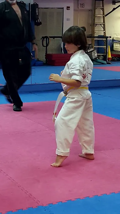 Family Martial Arts Academy Picture 4