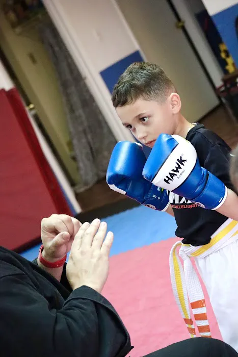 Family Martial Arts Academy Picture 9