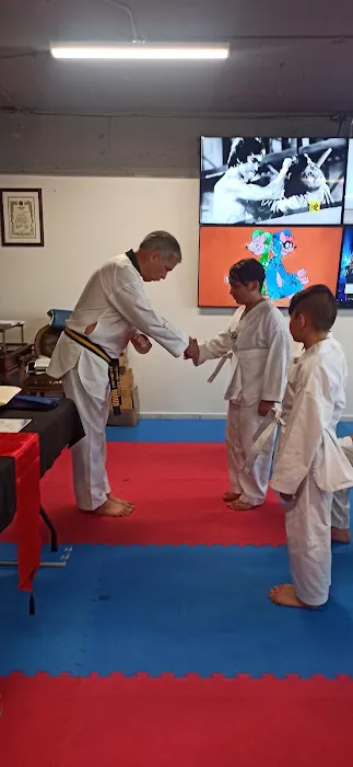 Master Frank's Tae Kwon Do Picture 2