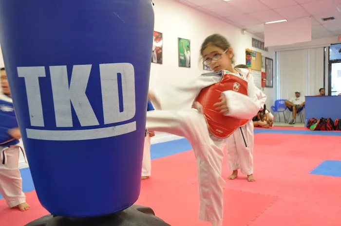 Miami Taekwondo School Picture 6