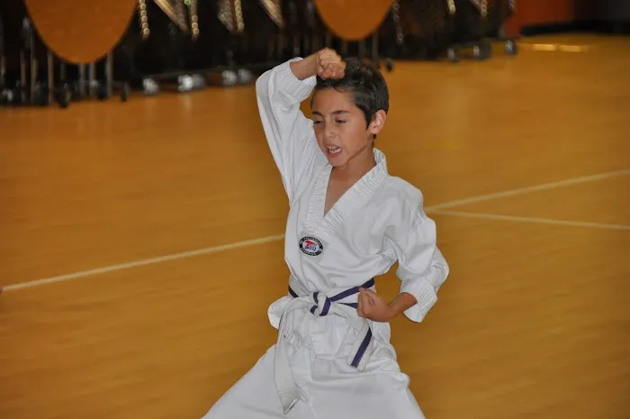 Miami Taekwondo School Picture 5