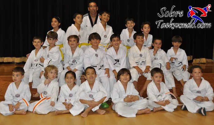 Miami Taekwondo School Picture 3