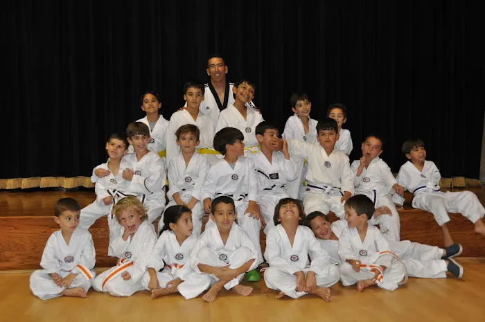 Miami Taekwondo School Picture 2